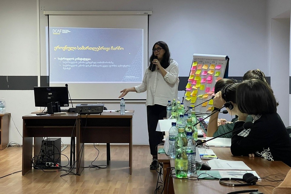 Anna Iluridze delivers the training for trainers for the representatives of the MIA Academy and the Human Rights Protection and Investigation Quality Monitoring Department. Photo: UN Women