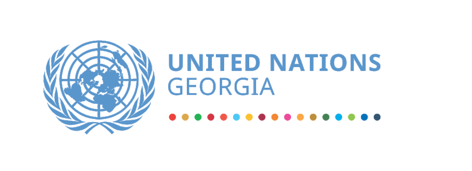 გაერთიანებული ერების ორგანიზაცია საქართველოში