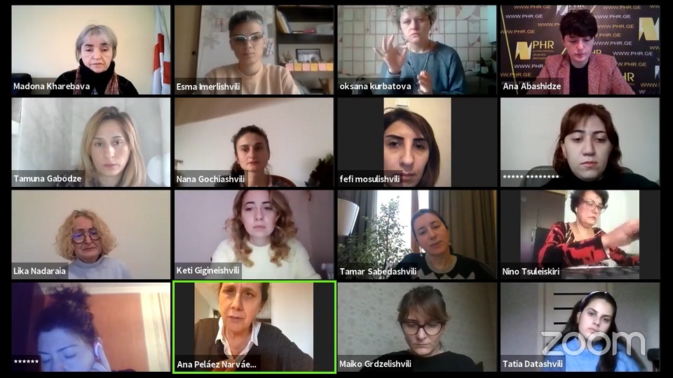 The virtual meeting between Ana Peláez Narváez and activists for the rights of women with disabilities in Georgia. Photo: UN Women