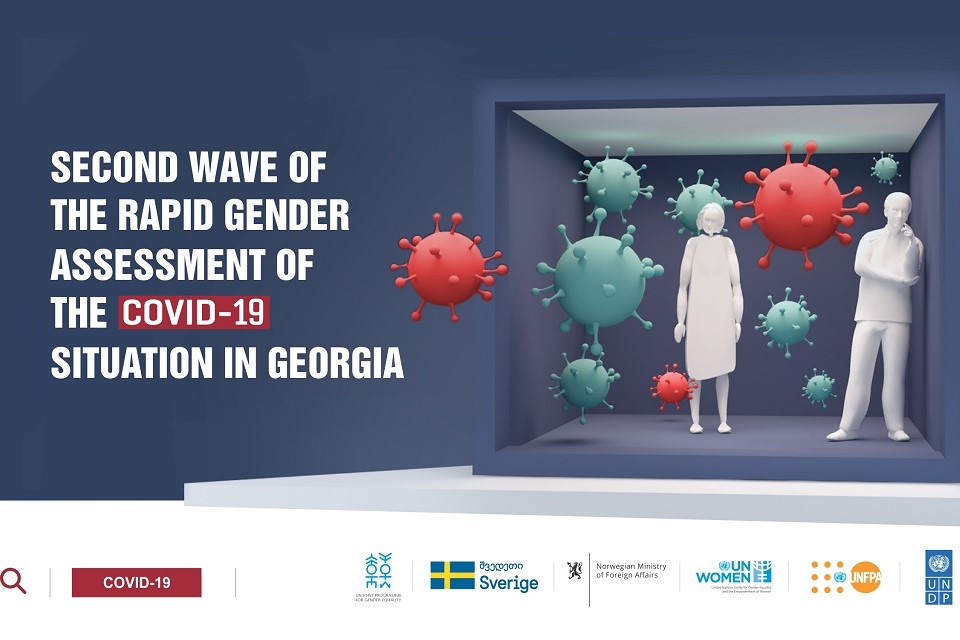 The Rapid Gender Assessment of the COVID-19 Situation in Georgia. Photo: UN Georgia