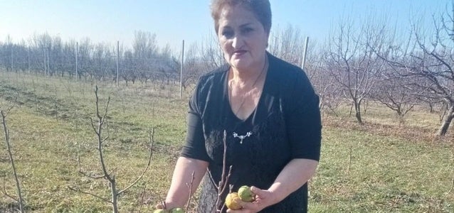 Lia Mikeladze, a resident of the village of Koshka in the Gori Municipality, in the pear orchard she planted herself. Photo: Lia’s personal archive